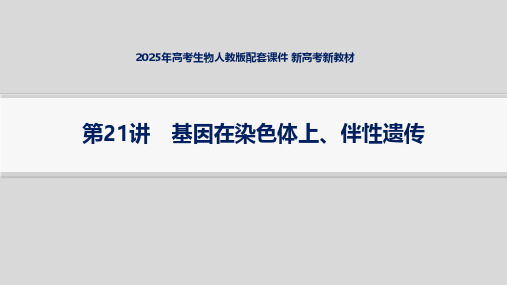 2025年高考生物人教版配套课件 新高考新教材 第21讲 基因在染色体上、伴性遗传