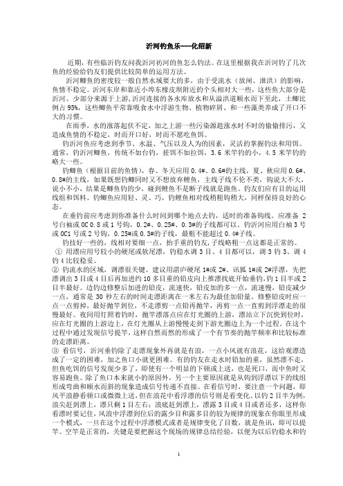 【钓鱼教程】化绍新：沂河钓鱼