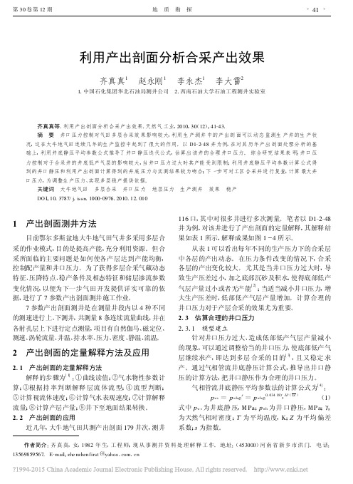 利用产出剖面分析合采产出效果_齐真真