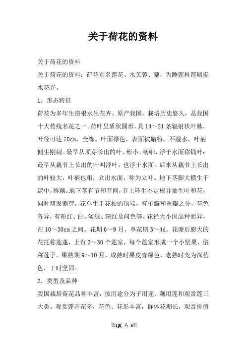 关于荷花的资料