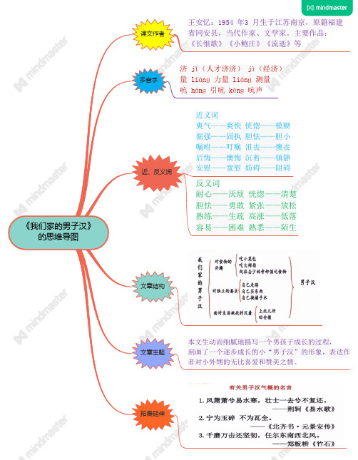 新编人教版小学语文四年级下册第19课《我们家的男子汉》的思维导图