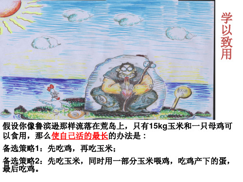 第三节 能量流动