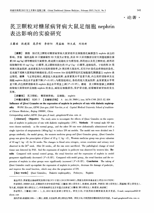 芪卫颗粒对糖尿病肾病大鼠足细胞nephrin表达影响的实验研究