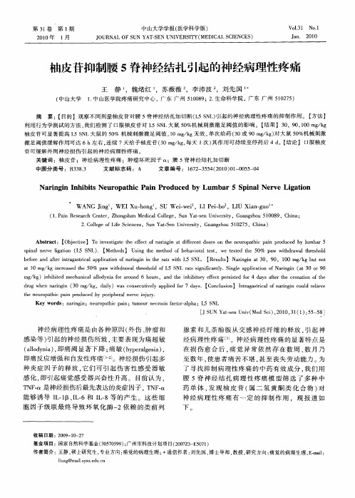 柚皮苷抑制腰5脊神经结扎引起的神经病理性疼痛