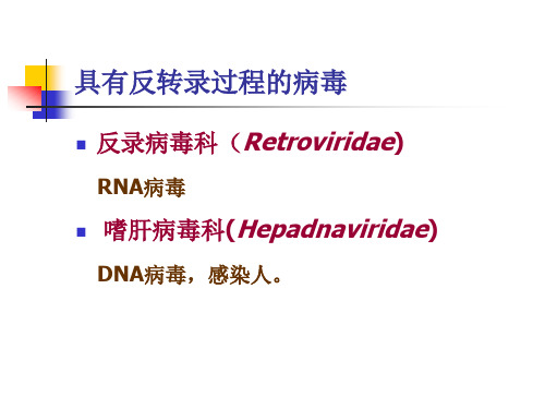 具有反转录过程的病毒