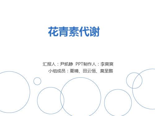 第八组花青素代谢