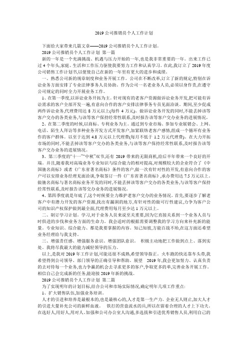 2019公司推销员个人工作计划 
