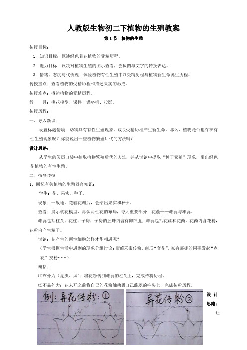 人教版生物初二下植物的生殖教案