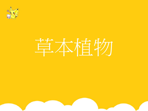 【实用】草本植物PPT文档