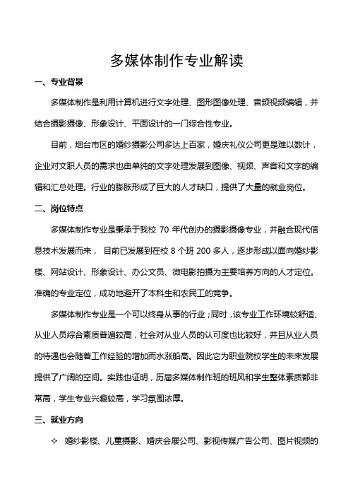 多媒体制作专业解读