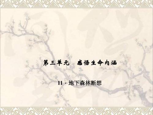 九年级语文下册第三单元11《地下森林断想》课件1(新版)新人教版