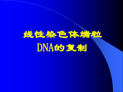 郜刚分子生物学-06-DNA端粒的复制