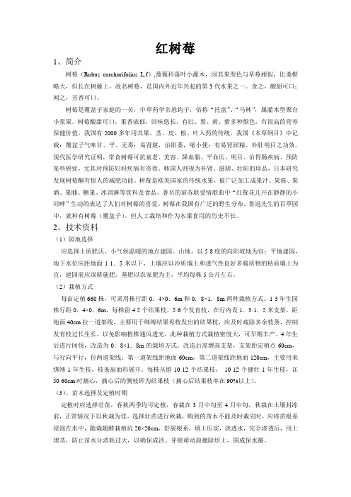 红树莓简介