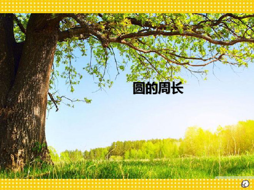 《圆的周长》PPT课件