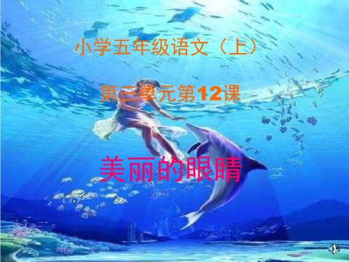 五年级语文上册 第三单元 美丽的眼睛精选优质PPT课件2 西师大版