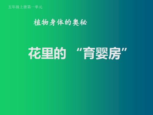 花里的 “育婴房”