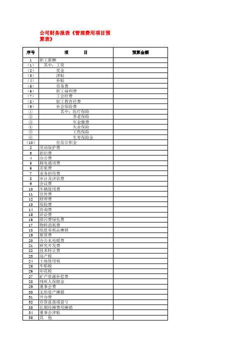 公司财务报表《管理费用项目预算表》