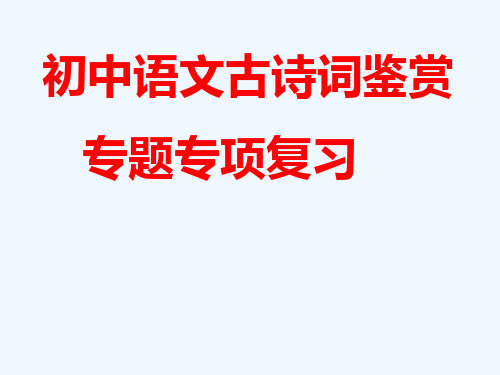 初中语文古诗词鉴赏专题专项复习页PPT课件