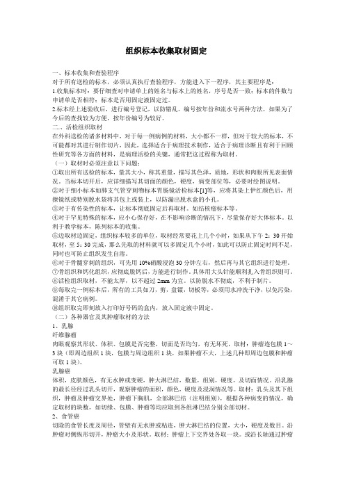 组织标本收集取材固定