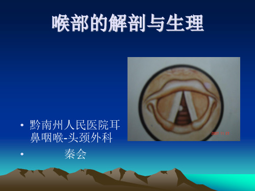 喉部的应用解剖及生理