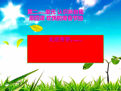 七年级政治上册 2.2.1 走进青春课件2上册政治课件