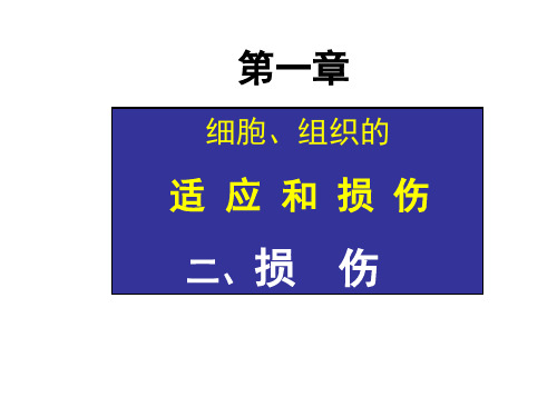 变性、坏死、凋亡2014