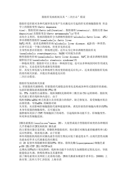 脂肪肝发病机制