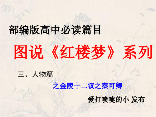 统编版高中语文必修下册《红楼梦》金陵十二钗之秦可卿标准课件24张PPT