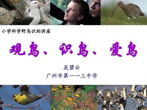 小学科学野鸟识别讲座(增城)
