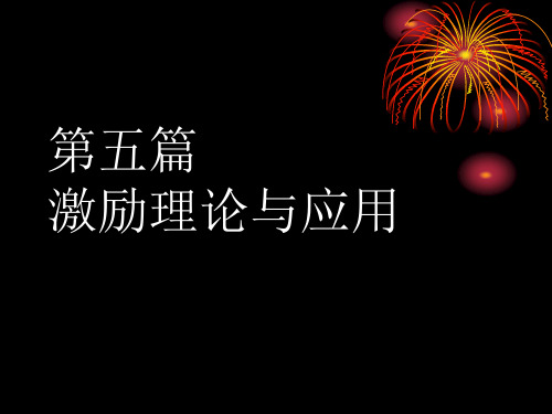 第13章激励过程诸要素的研究