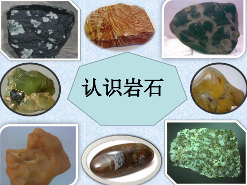 认识岩石的ppt课件