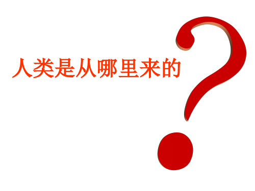 《物种起源》课件41页