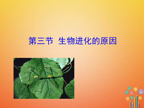 八年级生物下册 生物圈中生命的延续和发展 生命起源和生物进化第三节生物进化的原因教学 课件新人教版