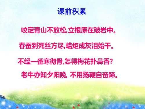 初中作文 《借物喻人》作文指导