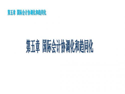 第五章国际会计协调化和趋同化