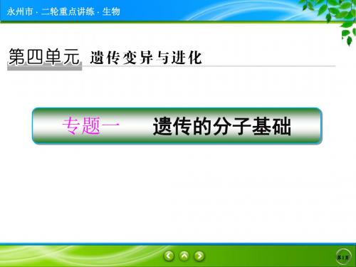 (龙小波)第4单元 专题1 遗传的分子基础