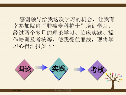 专科护士学习汇报课件