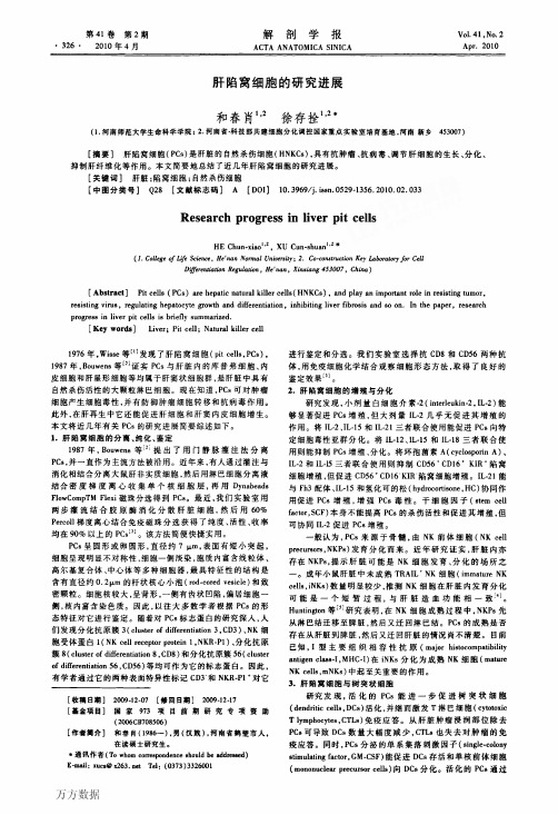 肝陷窝细胞的研究进展