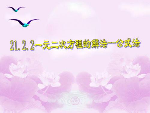 21.2.2 一元二次方程的解法-公式法