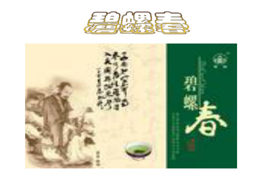 碧螺春课件PPT版(1)