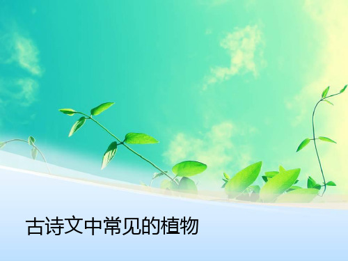 古诗文中常见的植物教学内容