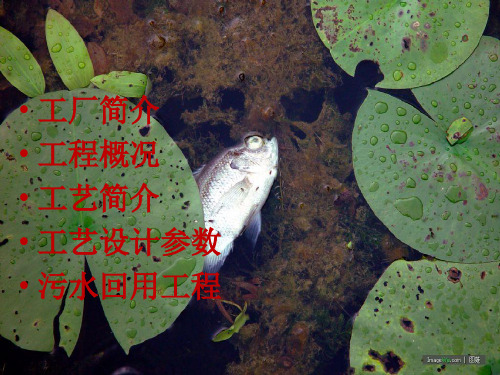 国外污水处理厂实例----SanJose