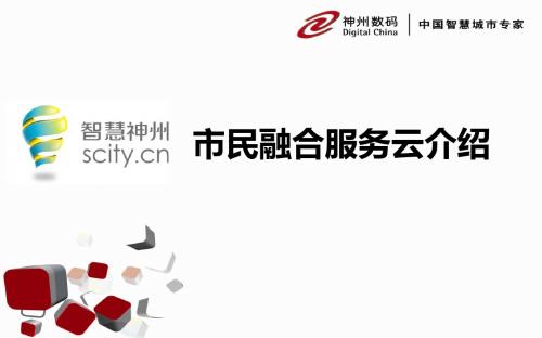 5神州数码