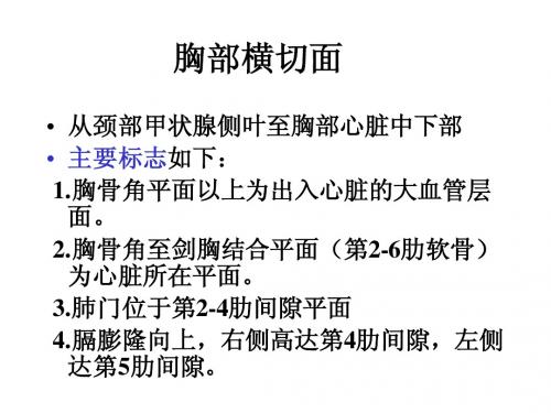 纵隔断层