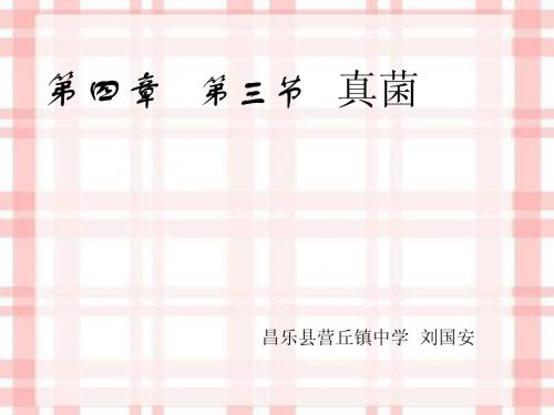 第三章 第三节真菌