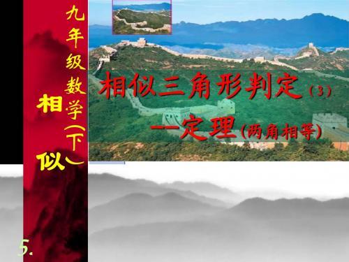 5.相似三角形判定(3)--定理(两角)