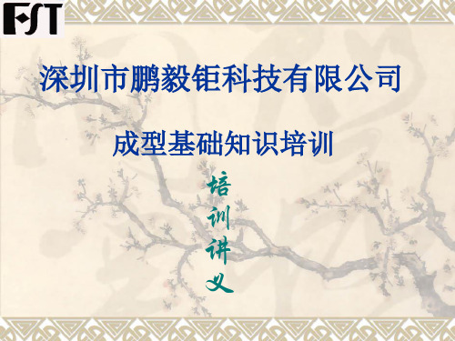 成型基础知识培训