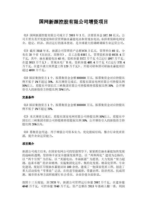 国网新源控股有限公司增资项目