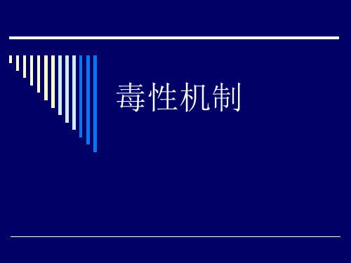 毒性机制PPT课件