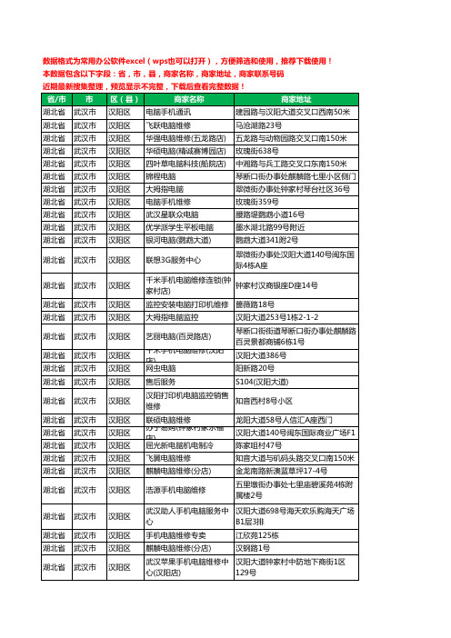 新版湖北省武汉市汉阳区电脑工商企业公司名录名单黄页大全80家